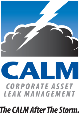 CALM Program Logo