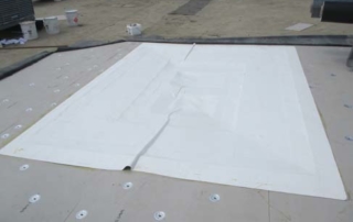 wrinkled-membrane-sheet